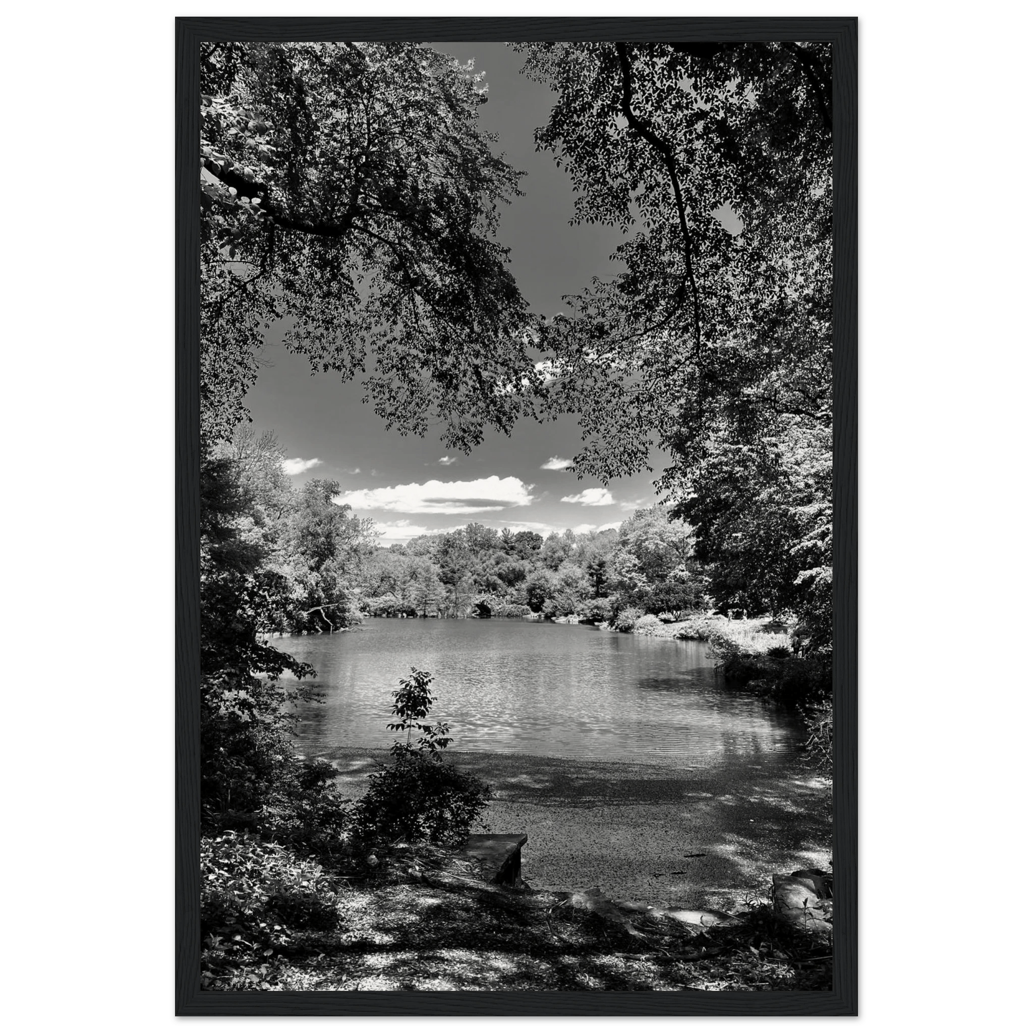 Framed black and white wooden poster of Central Park in summer glow, from My Store's Travel Collection Studio Edition.