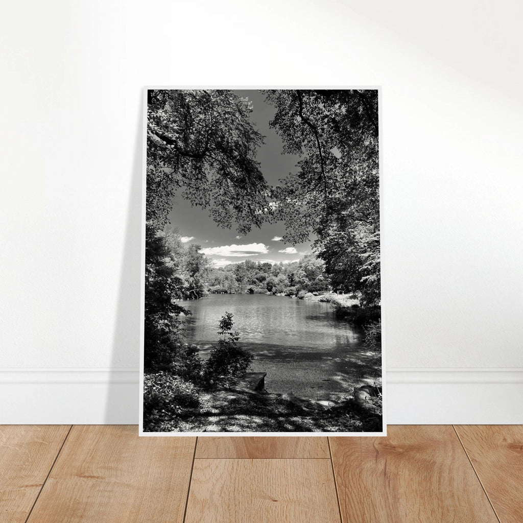 Black and white framed wooden poster of Central Park in a summer glow, part of My Store's travel collection studio edition.