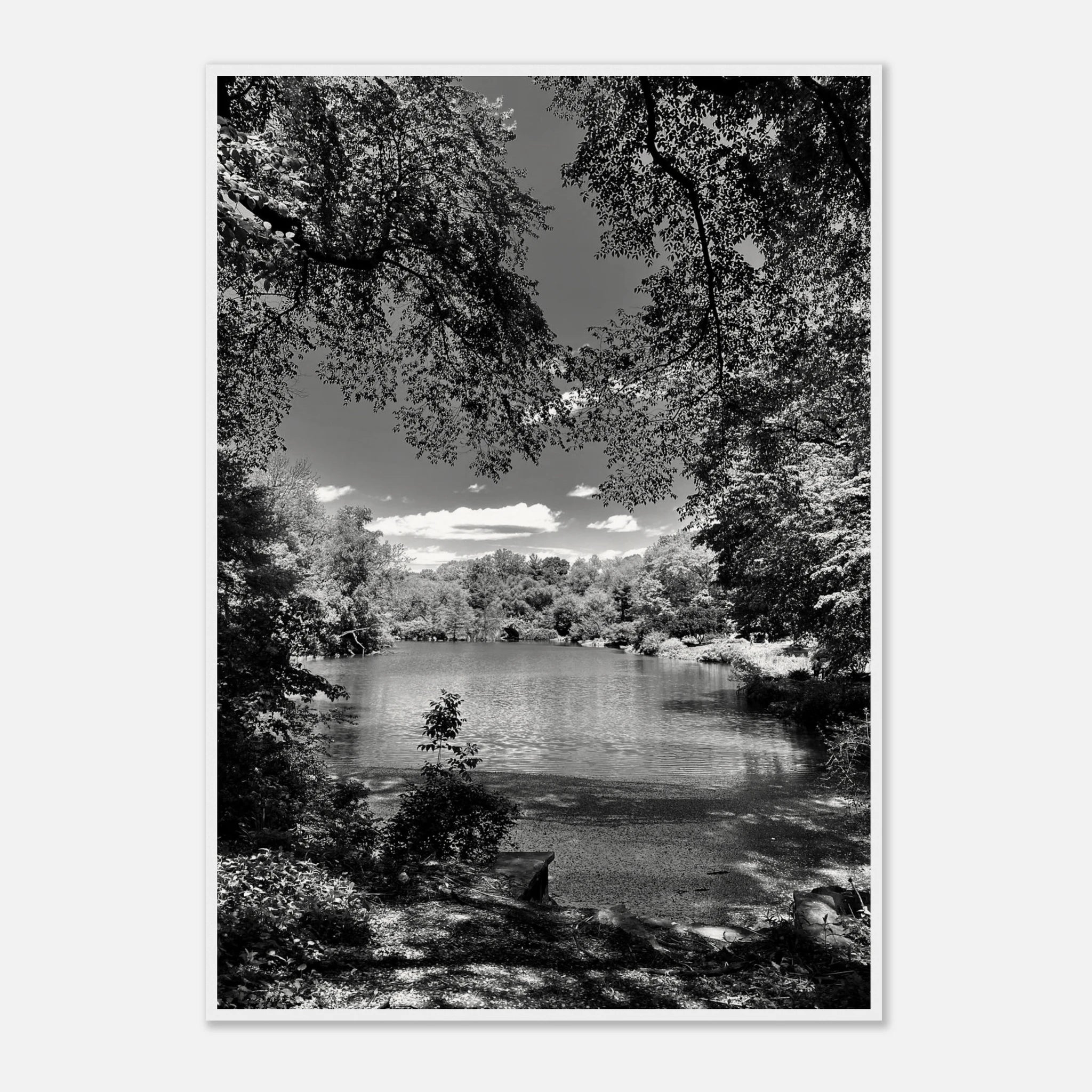 Framed wooden print of Central Park in summer glow from My Store's Travel Collection Studio Edition, black and white series.
