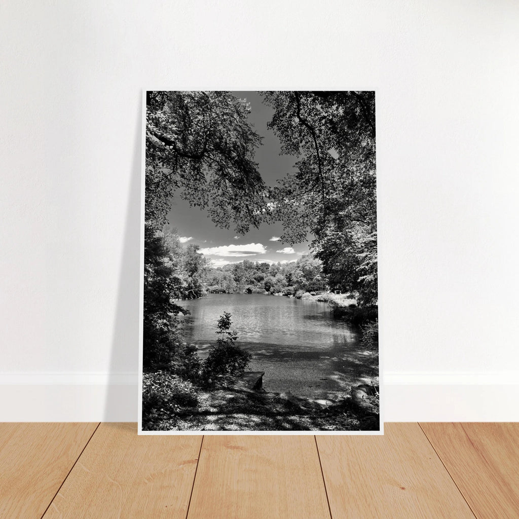 Framed wooden print of Central Park in summer glow, part of My Store's Travel Collection Studio Edition black and white series.