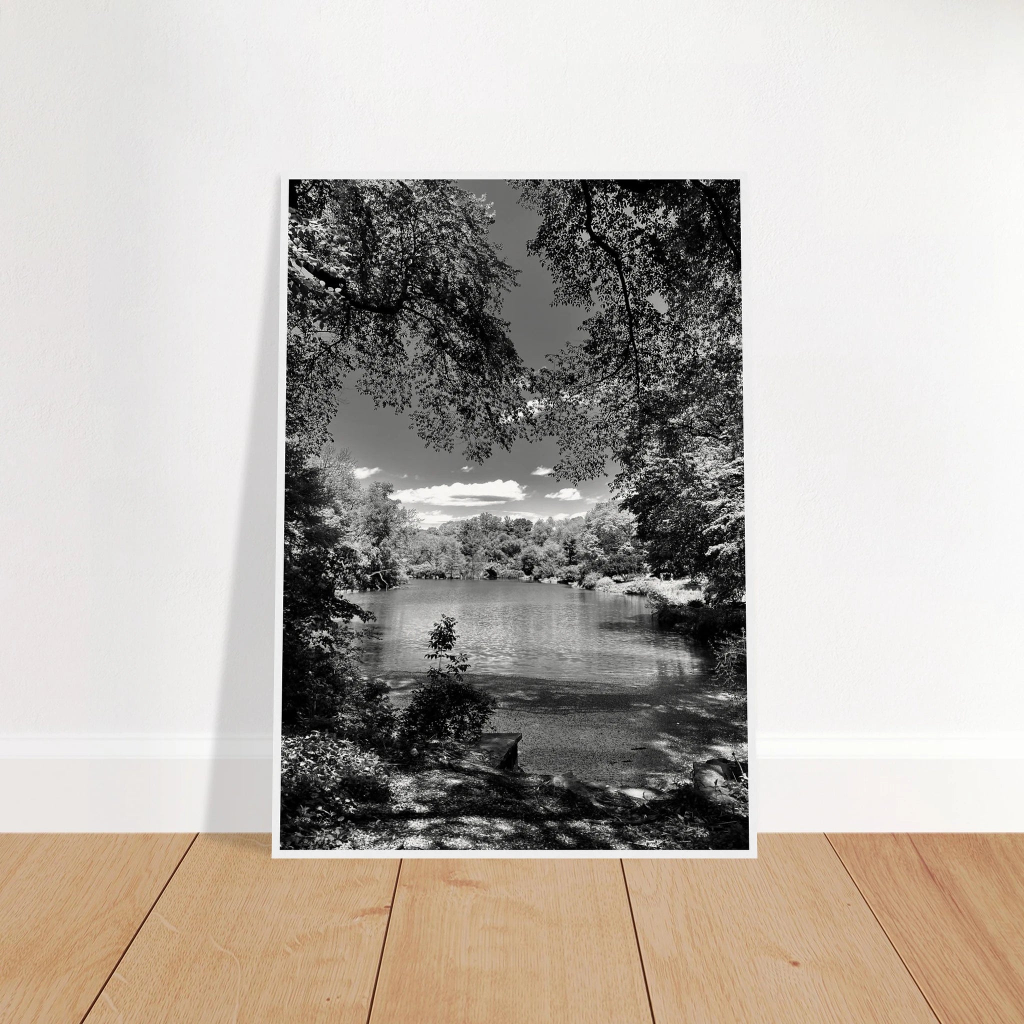 Framed wooden print of Central Park in summer glow, part of My Store's Travel Collection Studio Edition black and white series.