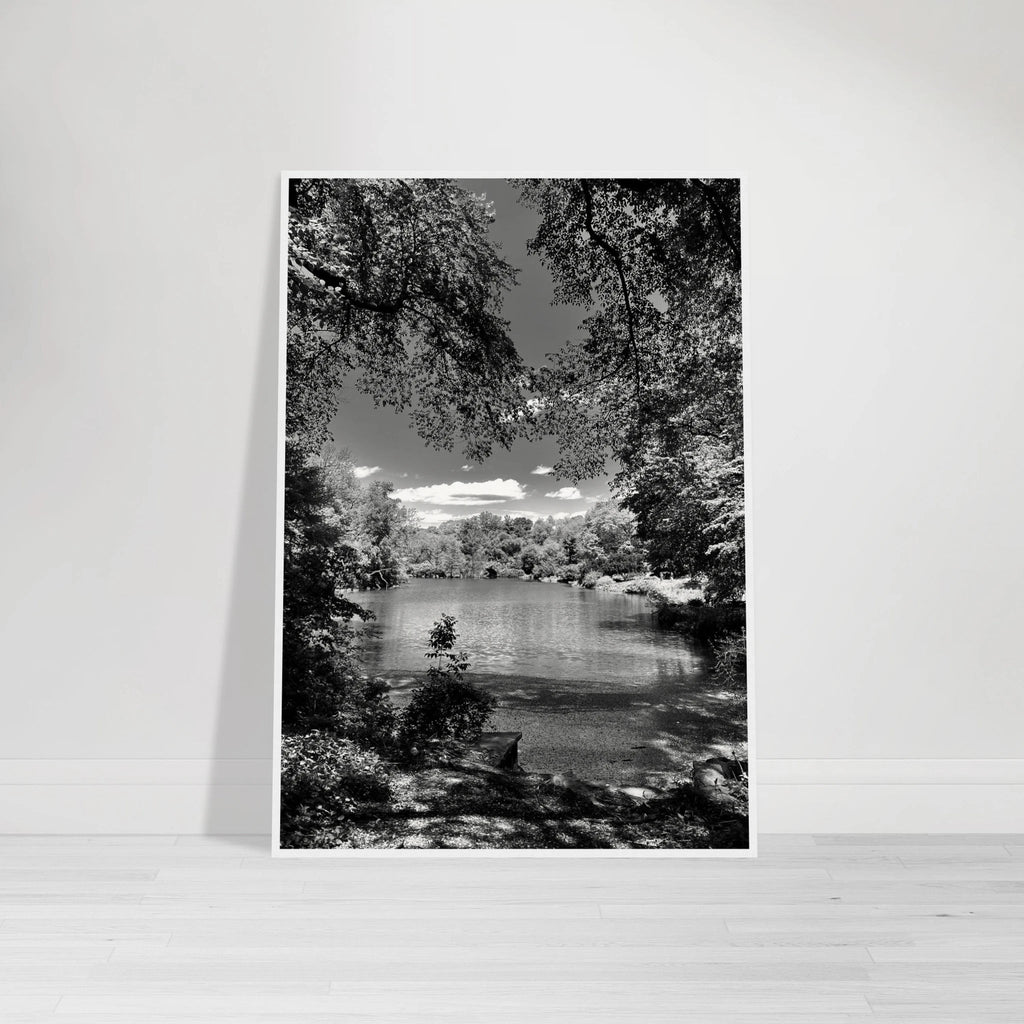 Framed wooden black and white print of Central Park in summer glow, part of Studio Edition Travel Collection, luxury wall art.