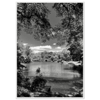 Framed wooden poster of Central Park in summer glow, from My Store's Travel Collection Studio Edition Black & White Series.