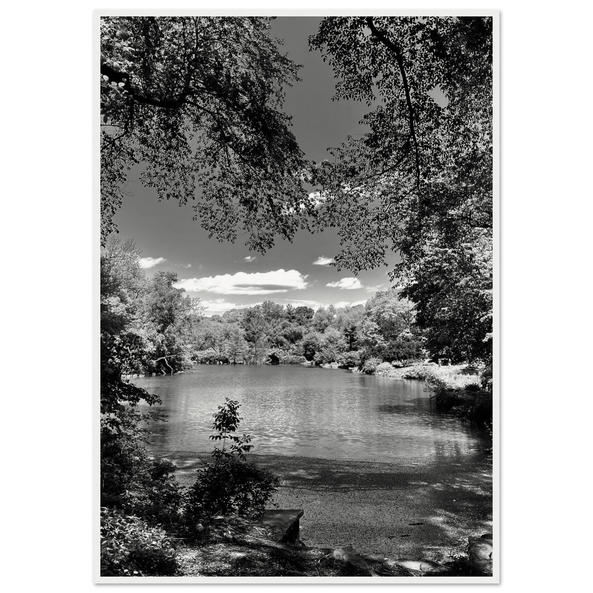 Framed wooden poster of Central Park in summer glow, from My Store's Travel Collection Studio Edition Black & White Series.