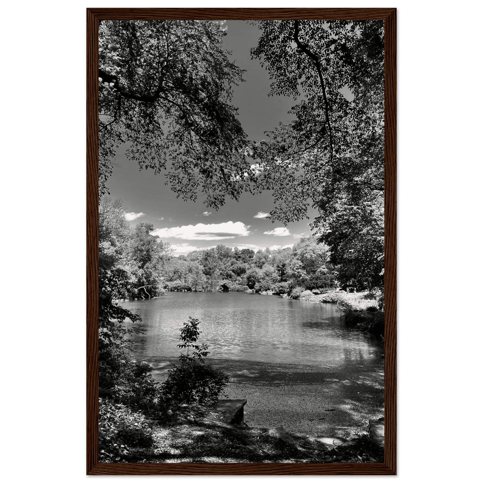 Framed wooden poster of Central Park in summer glow, part of Studio Edition Black & White Series, travel collection art print.