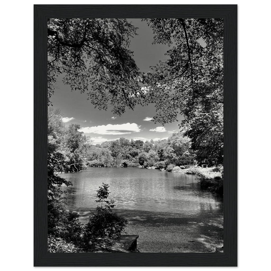 Framed wooden poster of Central Park in summer glow from My Store's Travel Collection, black and white studio edition print.