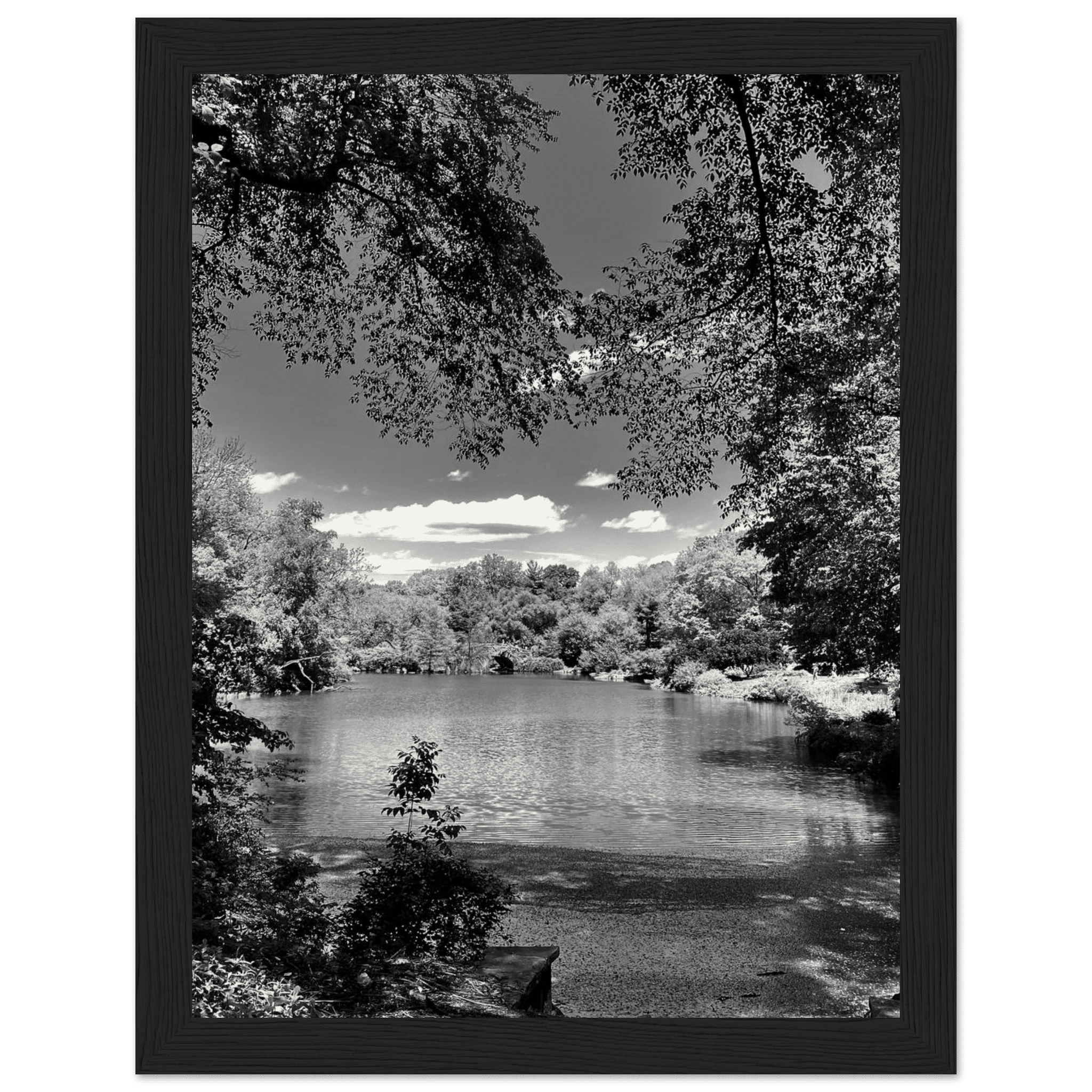 Framed wooden poster of Central Park in summer glow from My Store's Travel Collection, black and white studio edition print.