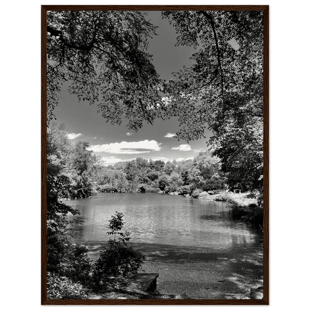 Framed wooden poster of Central Park in summer glow, part of My Store's Travel Collection Studio Edition black and white series.