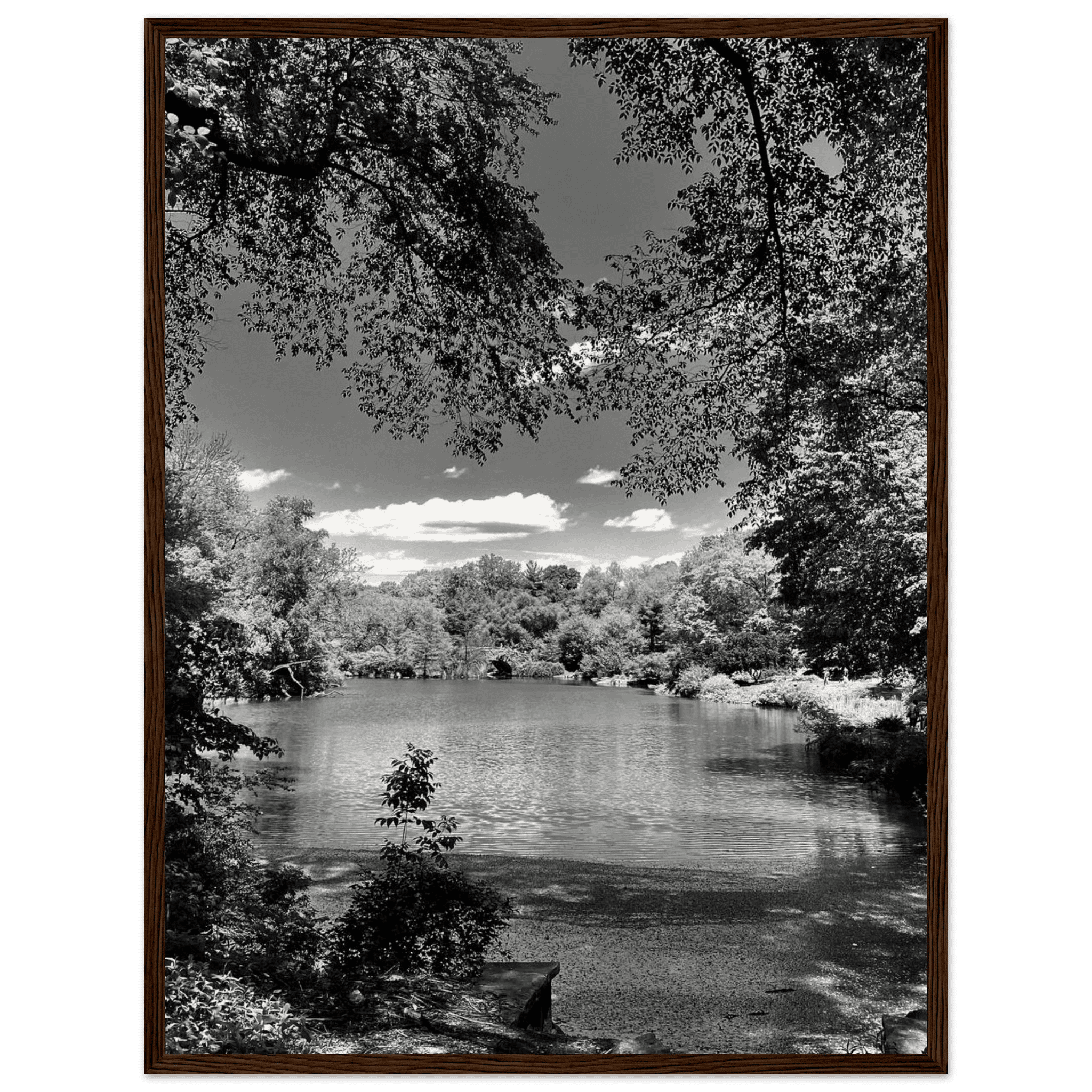 Framed wooden poster of Central Park in summer glow, part of My Store's Travel Collection Studio Edition black and white series.