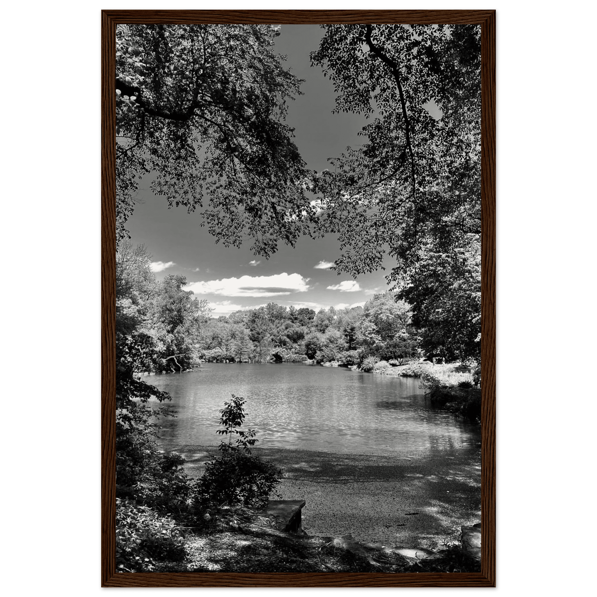Framed wooden poster of Central Park in summer glow, from My Store's Travel Collection Studio Edition Black & White Series.