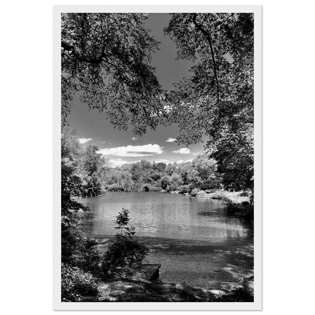Framed wooden print of Central Park in a summer glow, from My Store's Travel Collection Studio Edition Black & White Series.