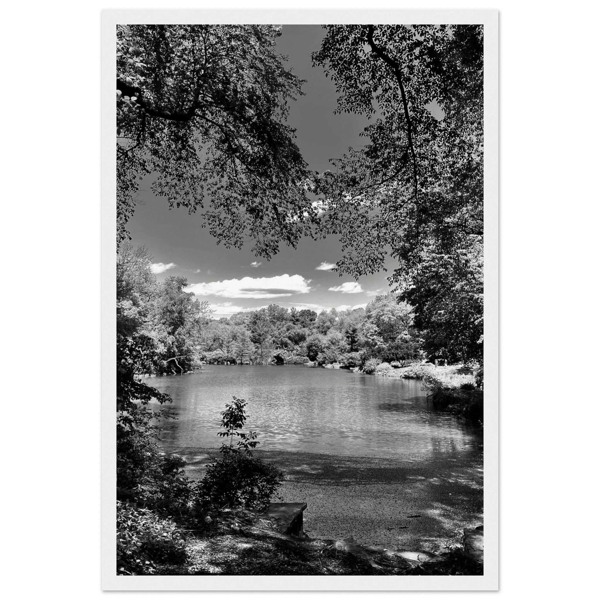 Framed wooden print of Central Park in a summer glow, from My Store's Travel Collection Studio Edition Black & White Series.