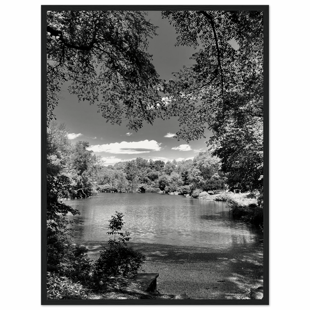 Framed wooden print of Central Park in summer glow from My Store's Travel Collection, Studio Edition black and white series.