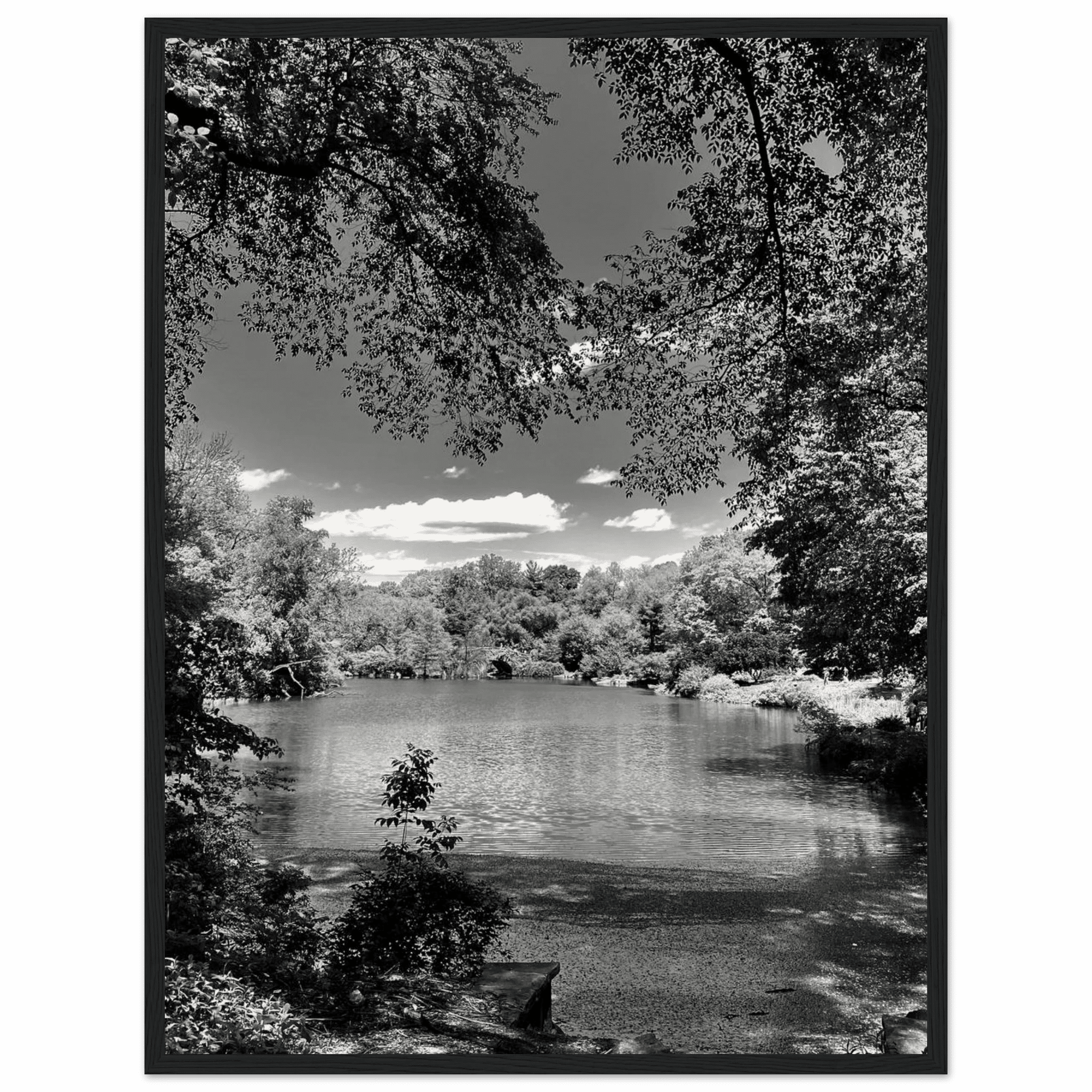 Framed wooden print of Central Park in summer glow from My Store's Travel Collection, Studio Edition black and white series.