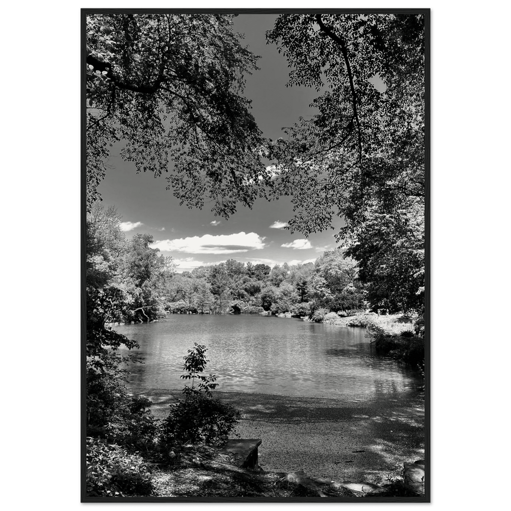 Framed wooden print of Central Park in summer glow from My Store's Travel Collection, Studio Edition Black & White Series.