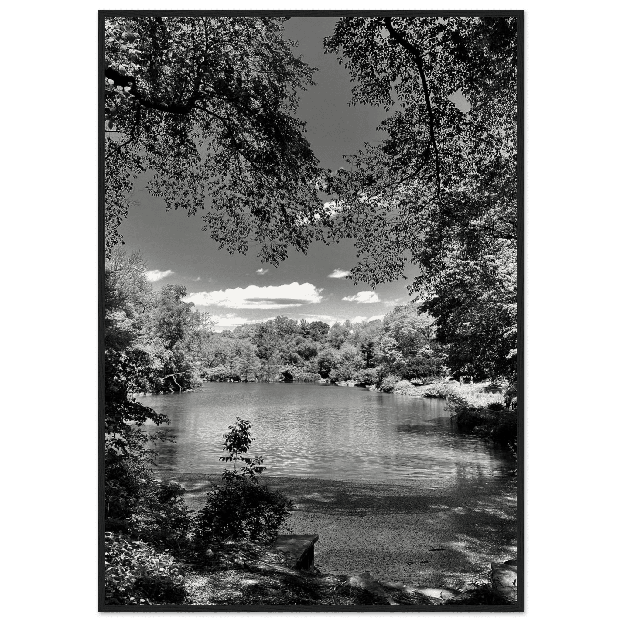 Framed wooden print of Central Park in summer glow from My Store's Travel Collection, Studio Edition Black & White Series.