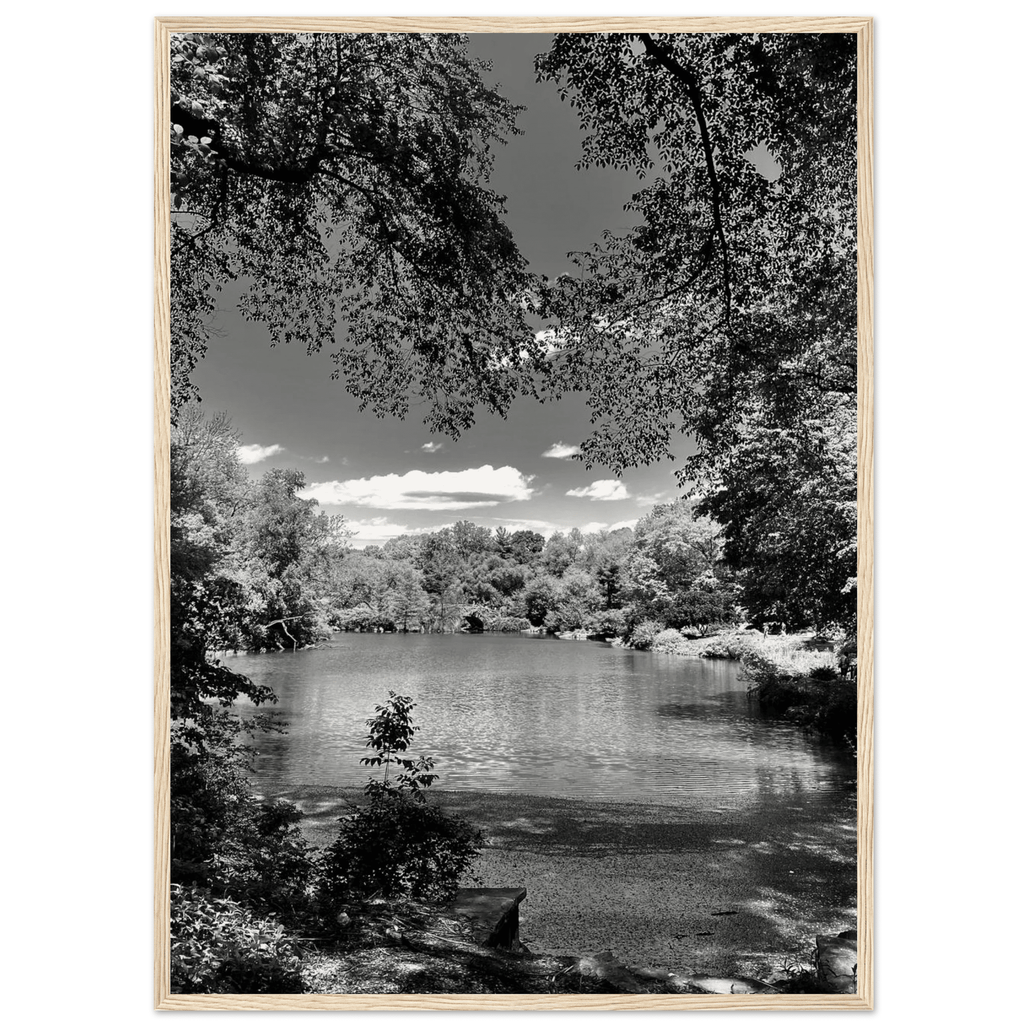 Framed wooden poster of Central Park in summer glow from the Travel Collection, Studio Edition Black & White Series, by My Store.
