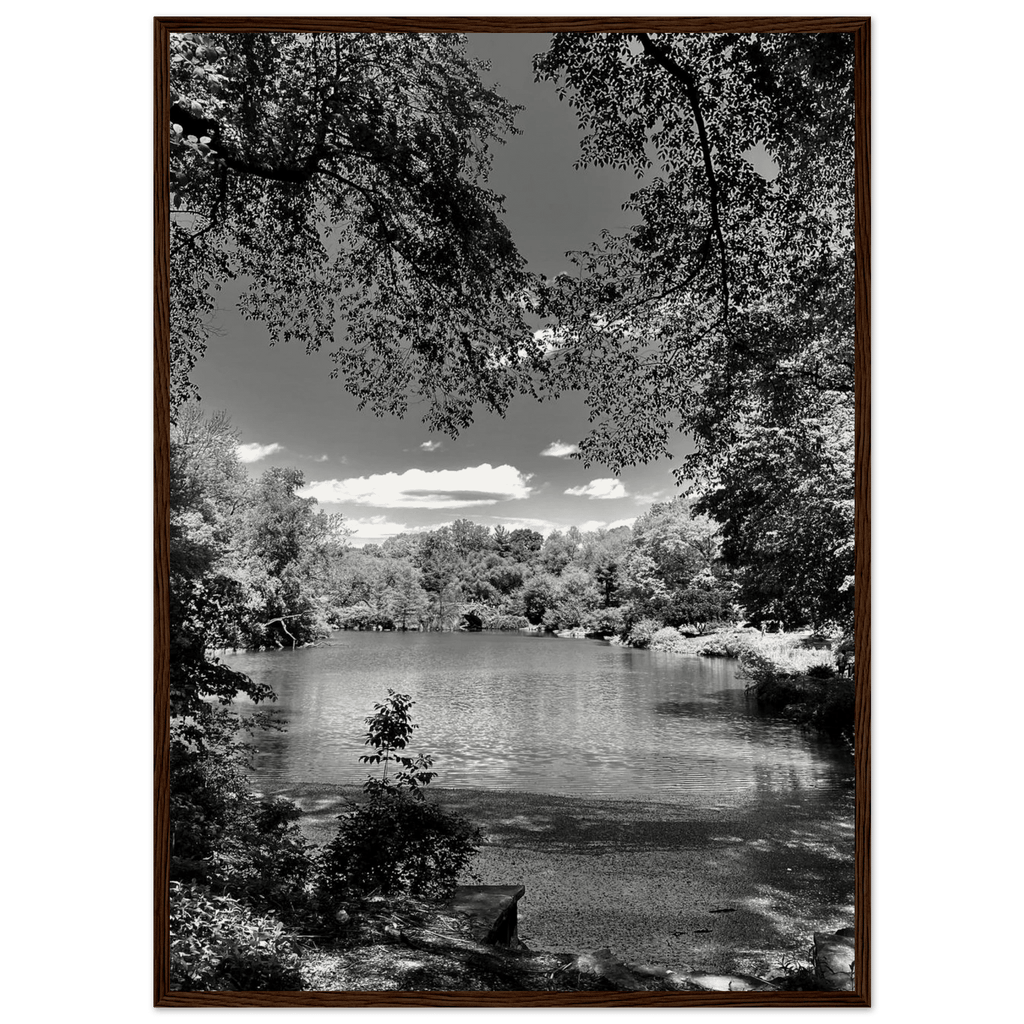 Framed wooden poster of Central Park in a summer glow, part of My Store's Travel Collection Studio Edition black and white series.