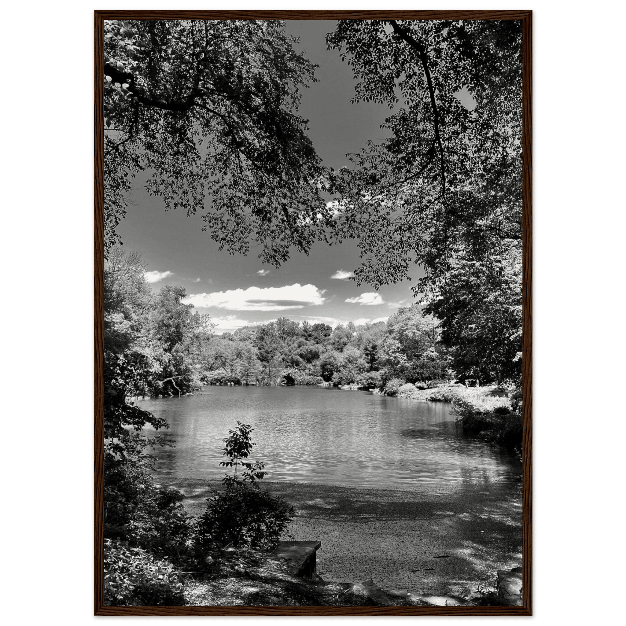 Framed wooden poster of Central Park in a summer glow, part of My Store's Travel Collection Studio Edition black and white series.