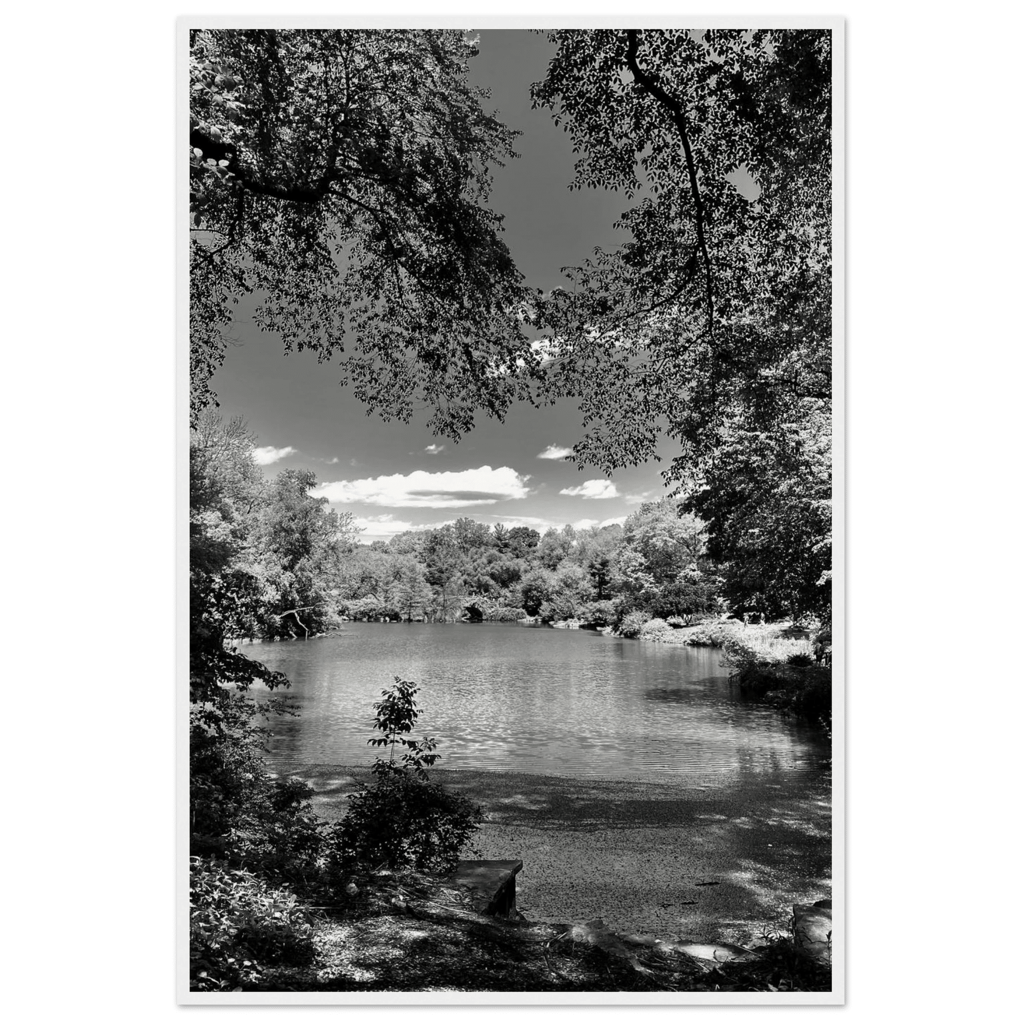 Framed wooden poster of Central Park in summer glow, from My Store's Travel Collection Studio Edition Black & White Series.