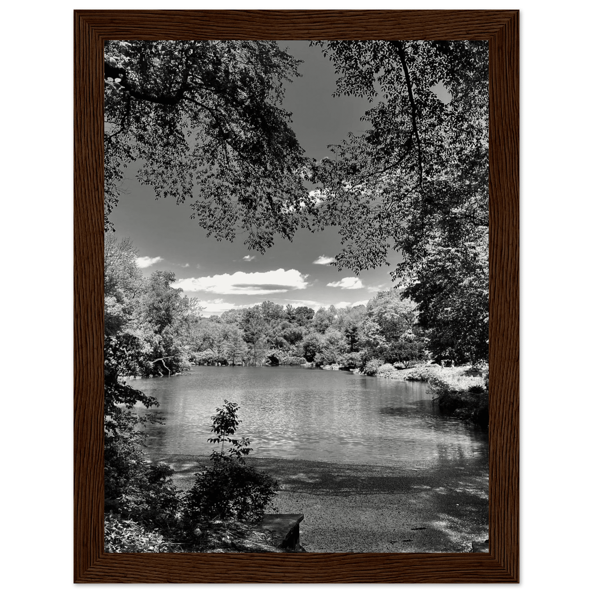 Framed wooden poster of Central Park in summer glow, from My Store's Travel Collection Studio Edition black and white series.