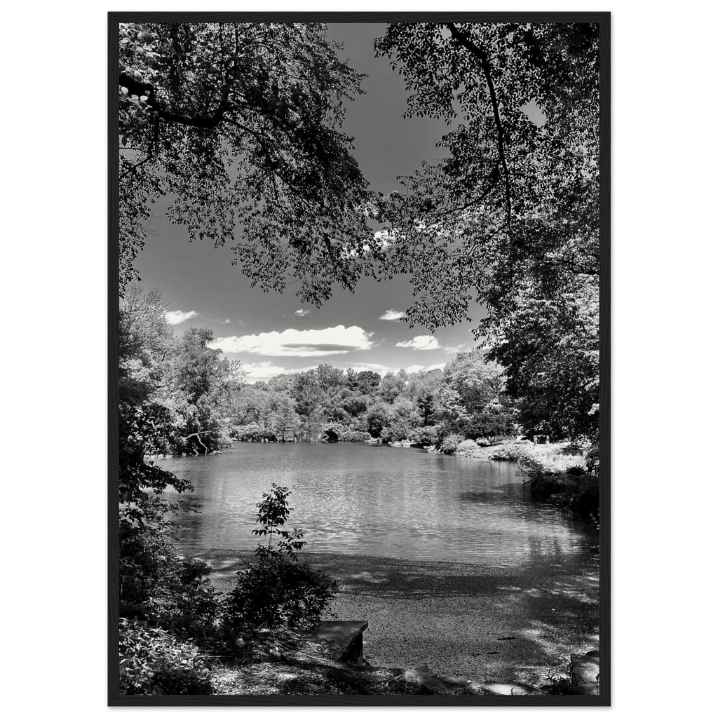 Framed wooden poster of Central Park in summer glow, part of My Store's Travel Collection Studio Edition black and white series.