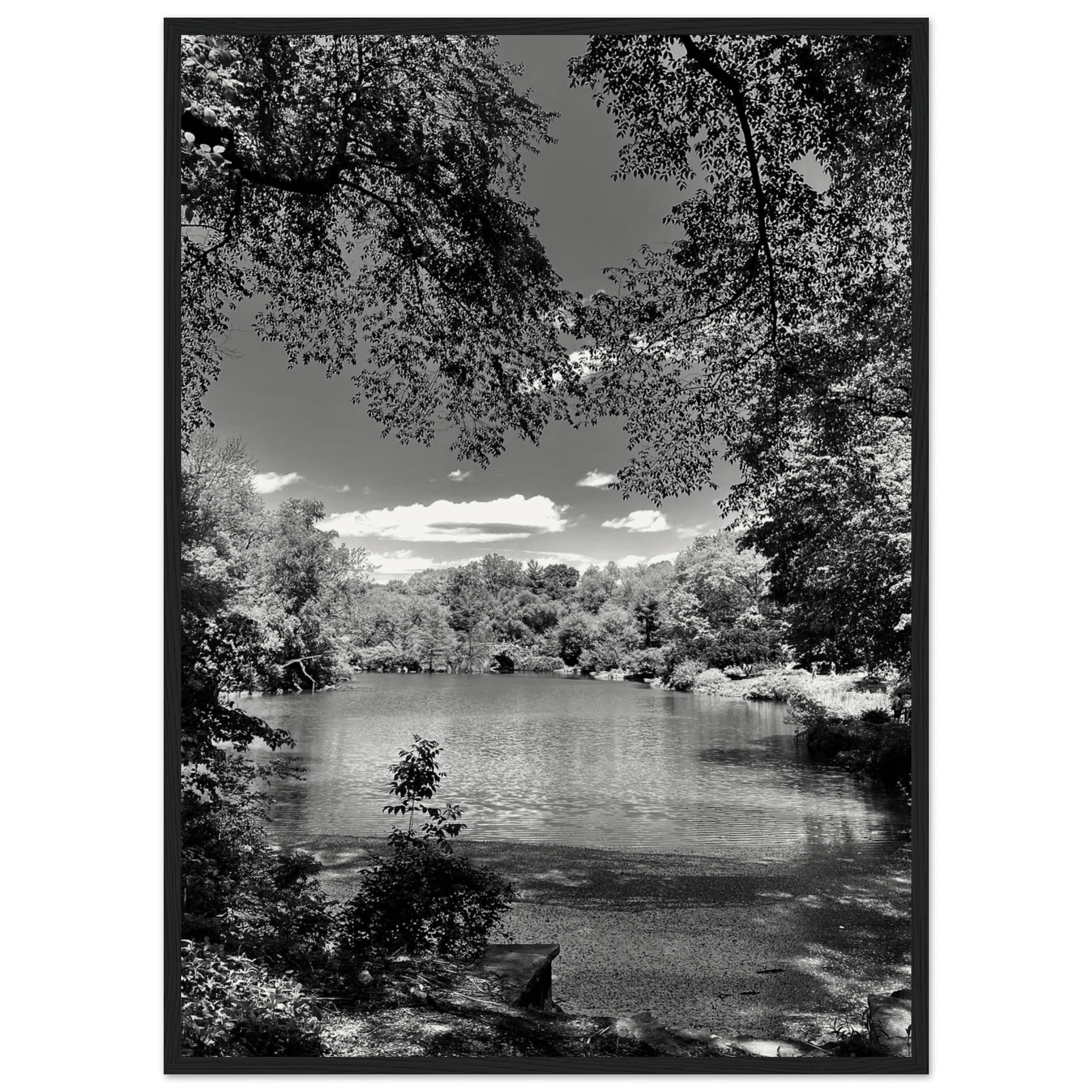 Framed wooden poster of Central Park in summer glow, part of My Store's Travel Collection Studio Edition black and white series.
