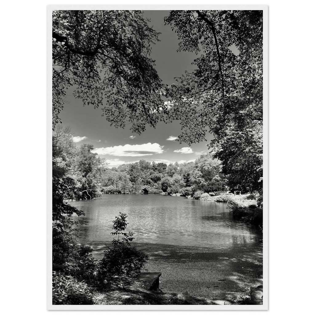 Framed wooden print of Central Park in a summer glow, part of My Store's Black & White Series, Studio Edition, Travel Collection.