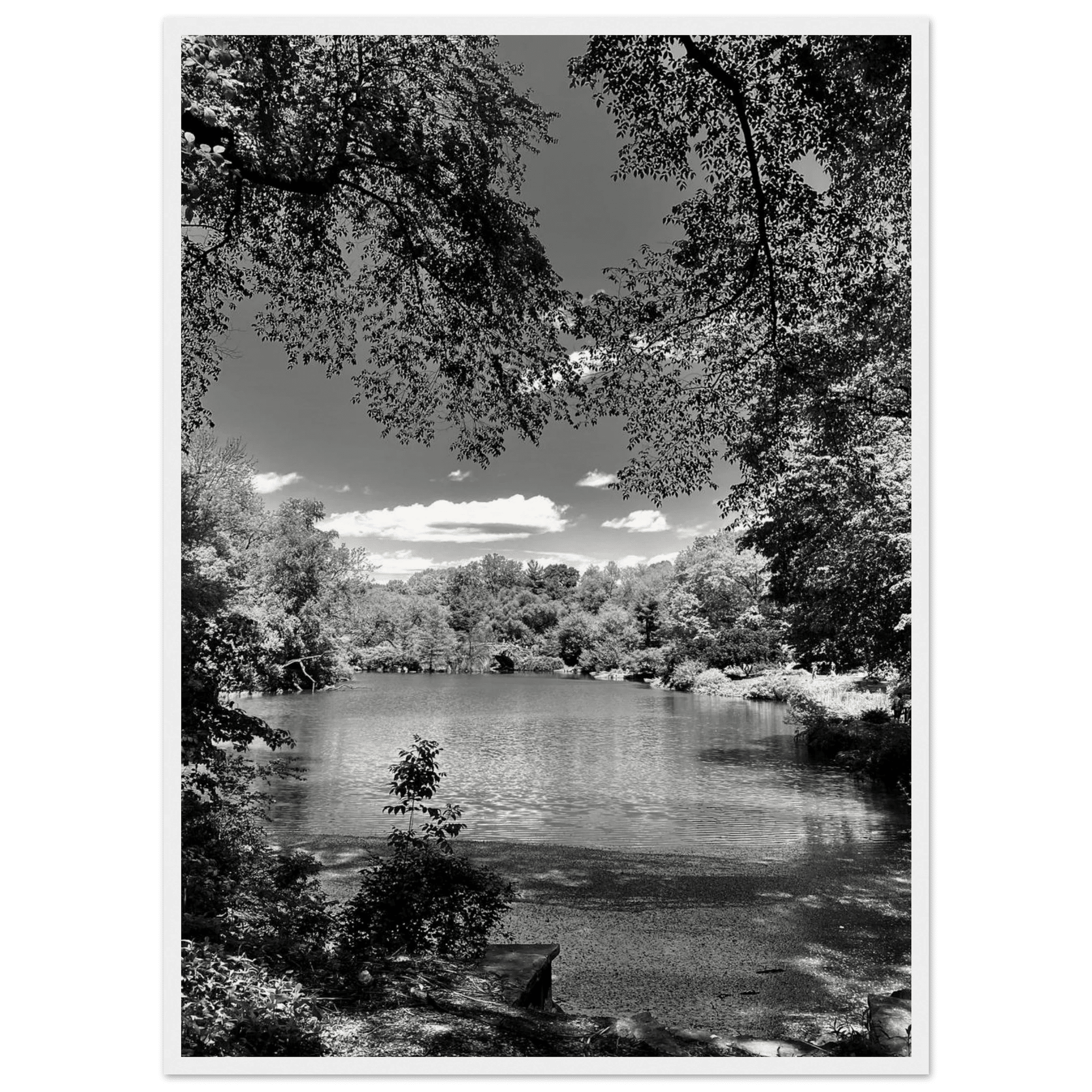 Framed wooden print of Central Park in a summer glow, part of My Store's Black & White Series, Studio Edition, Travel Collection.