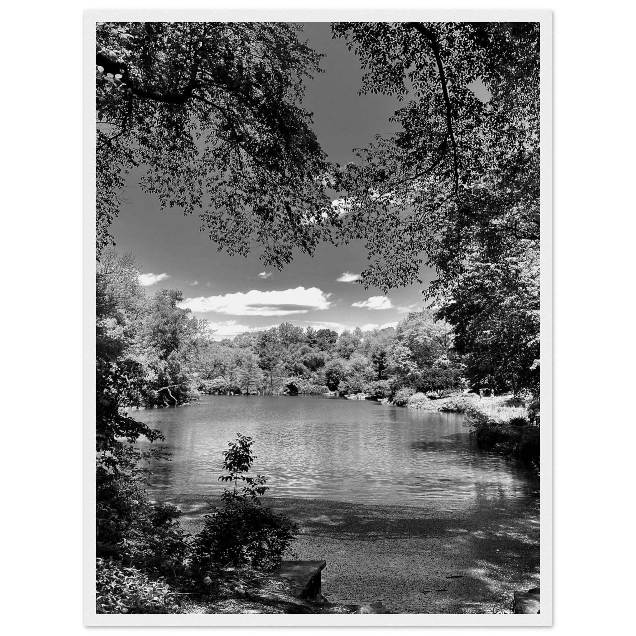 Framed wooden poster of Central Park in summer glow, part of My Store’s Travel Collection Studio Edition black and white series.
