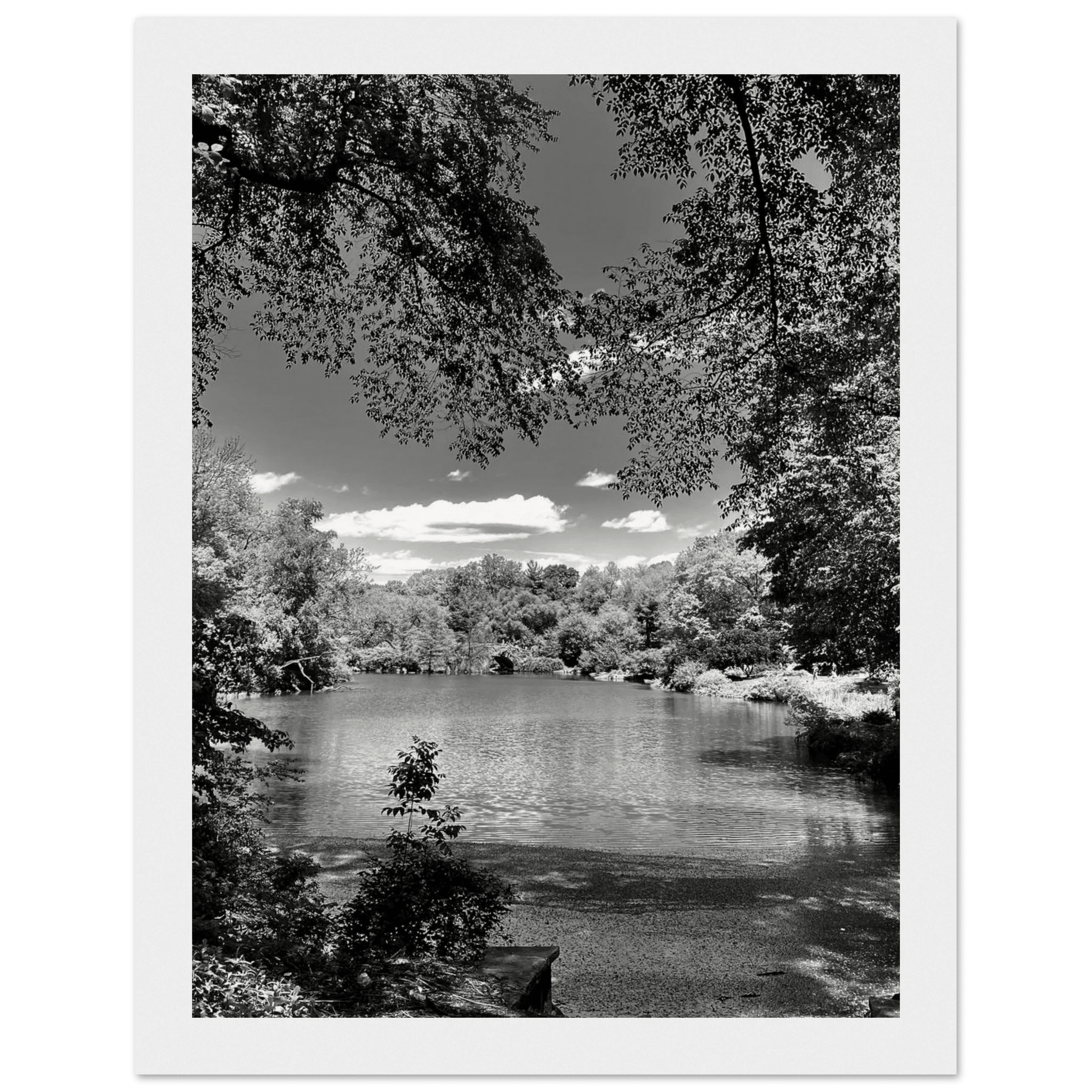 Framed wooden poster of Central Park in summer glow, from the Travel Collection Studio Edition Black & White Series, showcasing outdoor scenery.