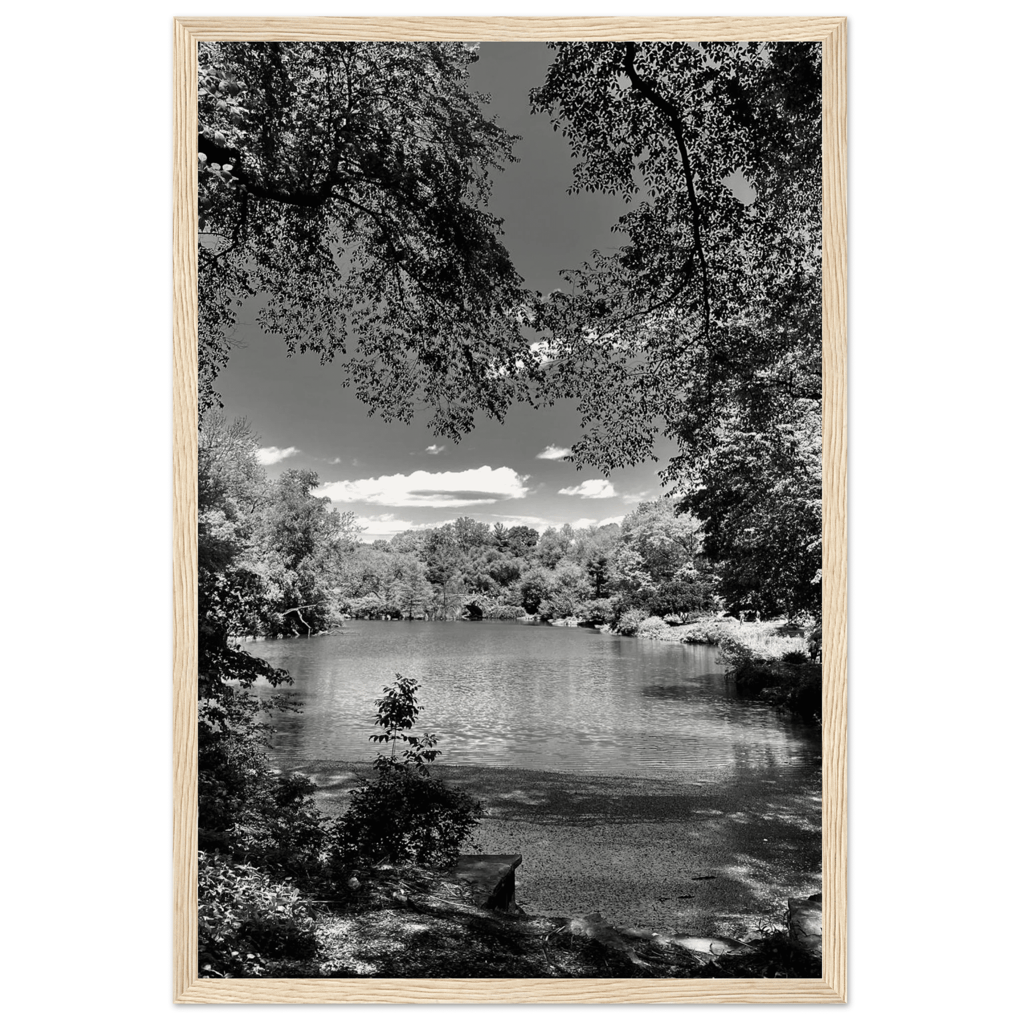 Framed wooden poster of Central Park in summer glow from the Travel Collection Studio Edition, black and white series, luxury art print.
