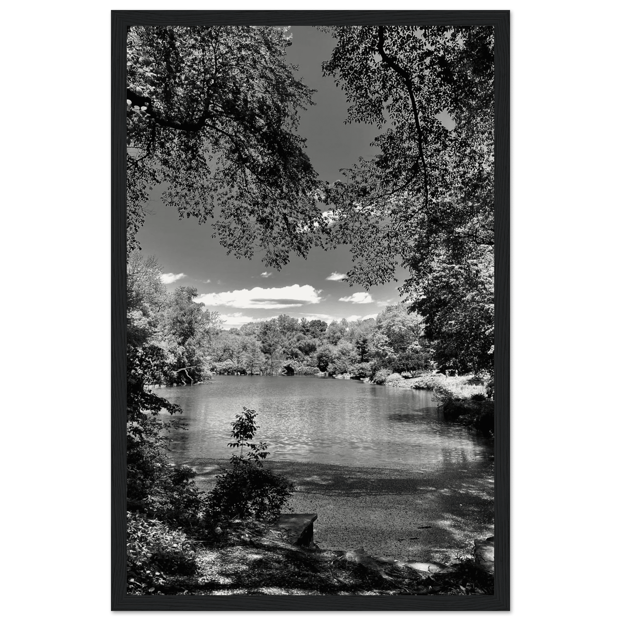 Framed wooden poster of Central Park in summer glow, from the Travel Collection Studio Edition, black and white series.