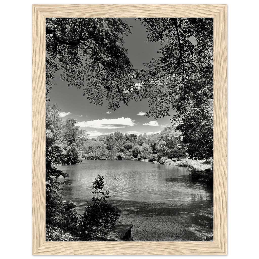 Framed wooden poster of Central Park during summer in black and white, part of the My Store Travel Collection Studio Edition.