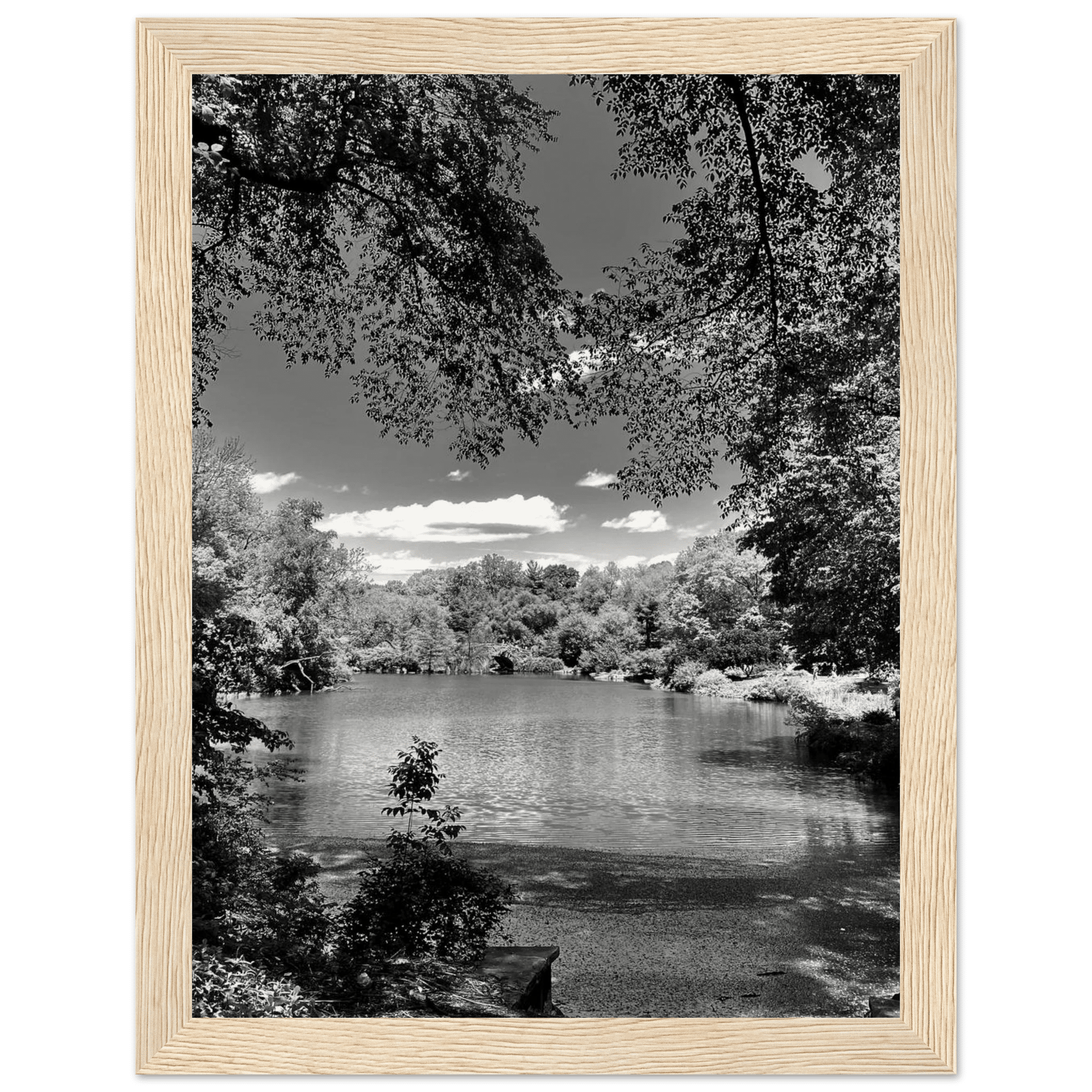 Framed wooden poster of Central Park during summer in black and white, part of the My Store Travel Collection Studio Edition.