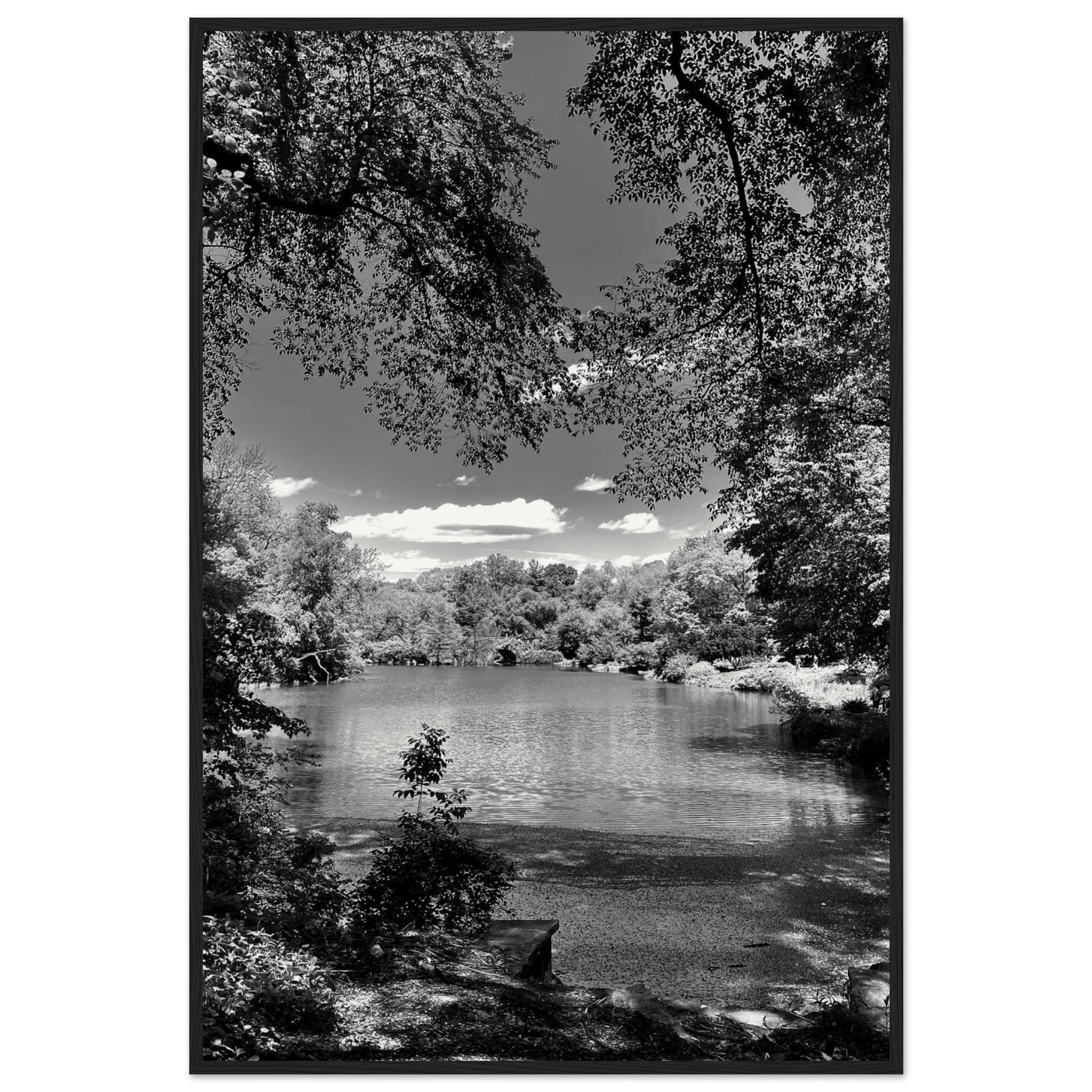 Framed wooden poster of Central Park in summer glow from My Store's Travel Collection Studio Edition Black & White Series.