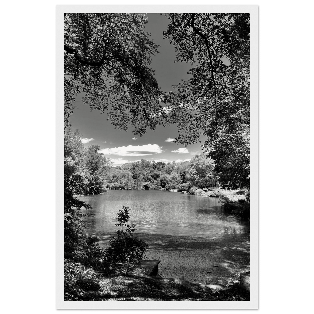 Framed wooden print of Central Park in summer glow, part of My Store's Travel Collection Studio Edition black and white series.