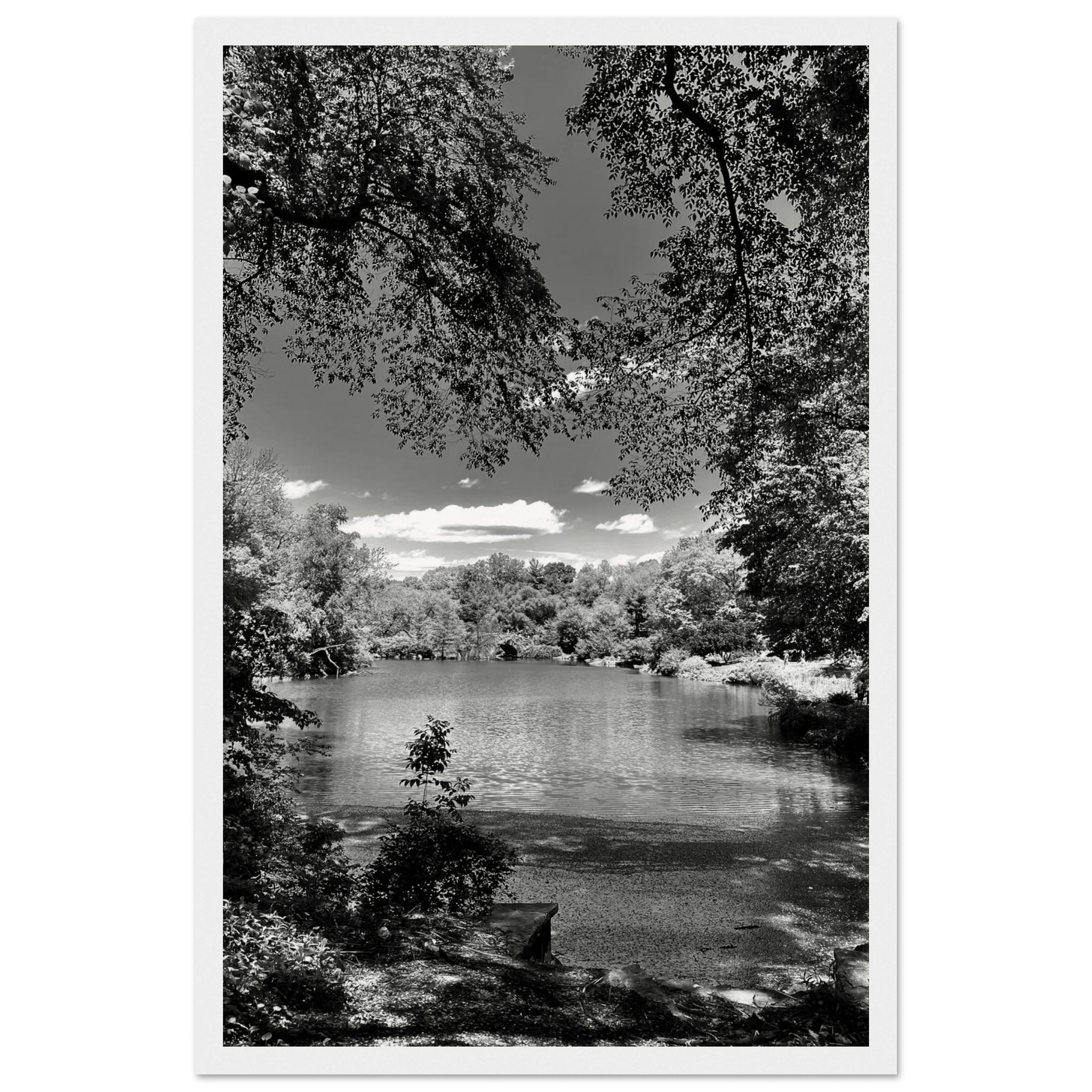 Framed wooden print of Central Park in summer glow, part of My Store's Travel Collection Studio Edition black and white series.