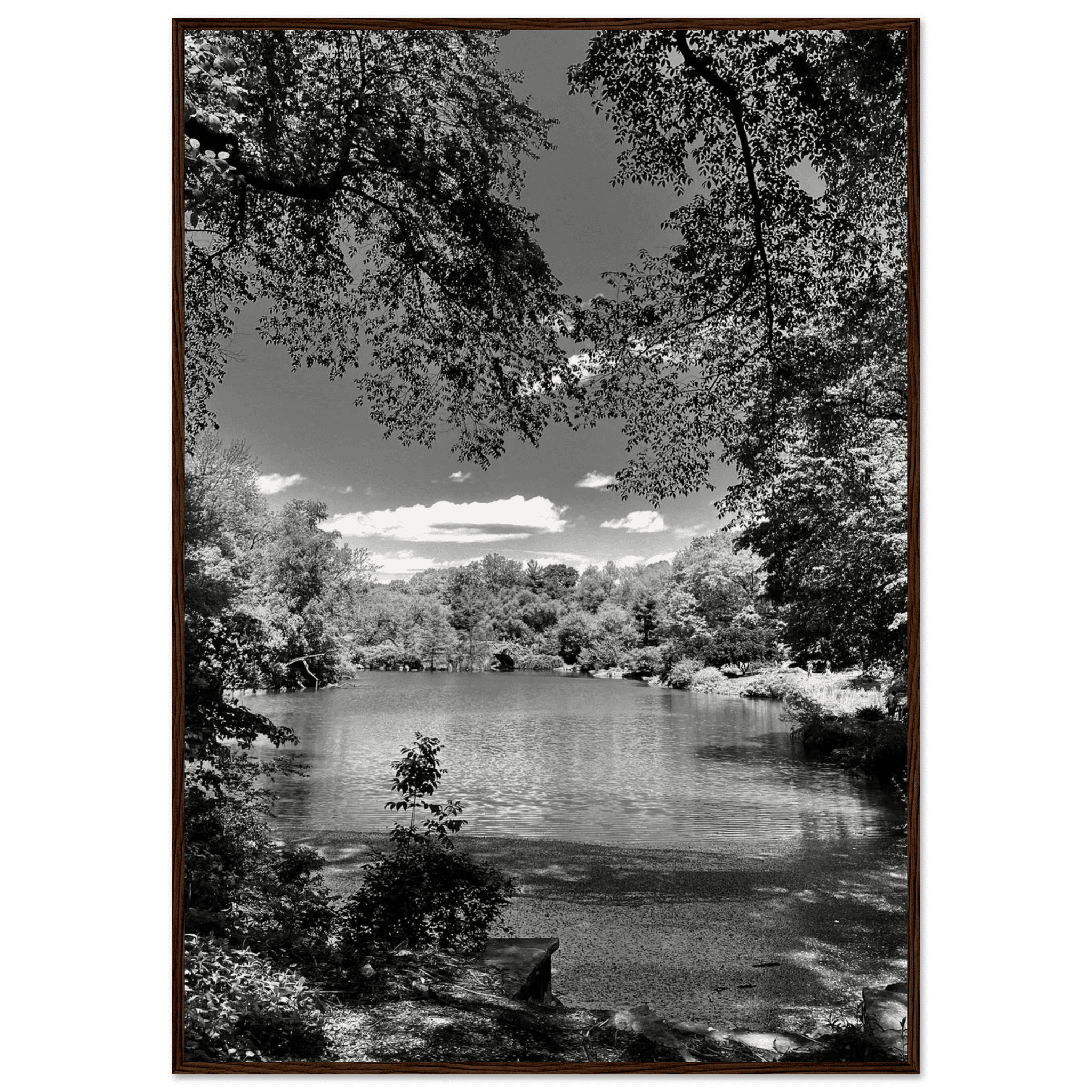 Framed wooden poster of Central Park in summer glow from My Store's Travel Collection, black and white Studio Edition print.
