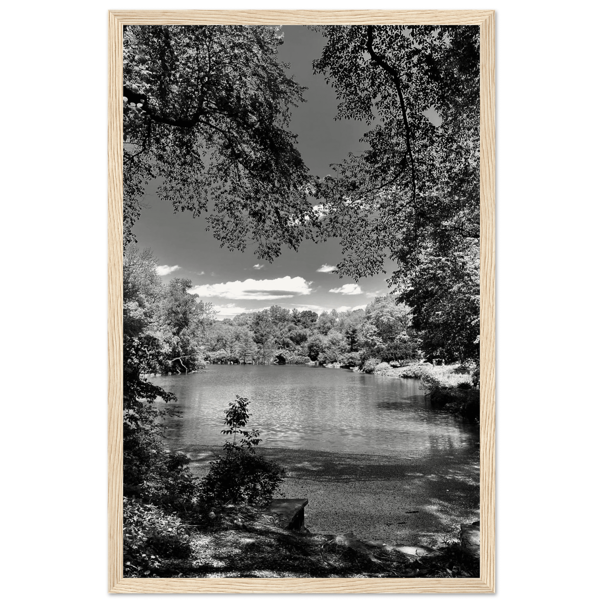 Framed wooden poster of Central Park in summer glow from My Store's Travel Collection, Studio Edition black and white print.