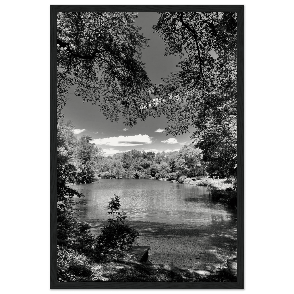 Framed wooden print of Central Park in summer glow, part of My Store's Travel Collection Studio Edition black and white series.