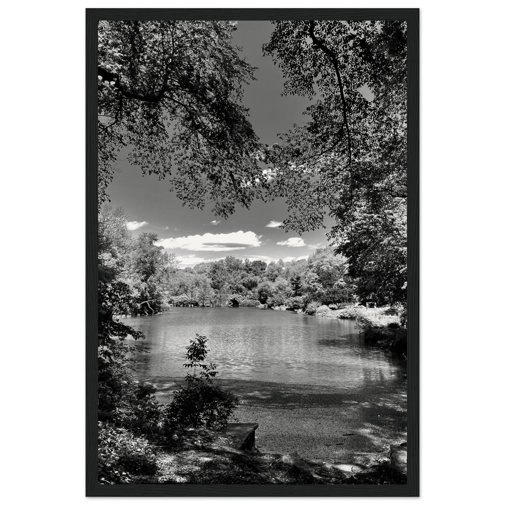 Framed wooden print of Central Park in summer glow, part of My Store's Travel Collection Studio Edition black and white series.