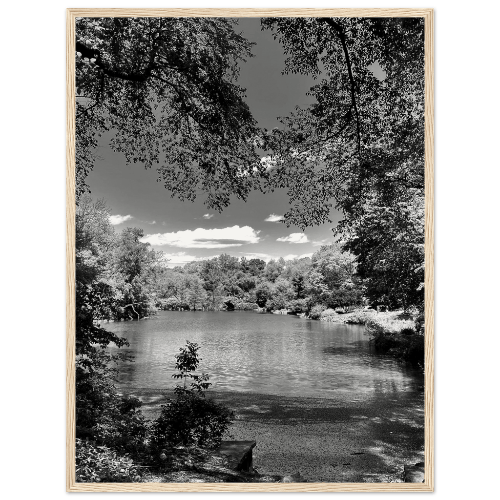 Framed wooden poster of Central Park in summer glow, part of My Store's Travel Collection Studio Edition Black & White Series.