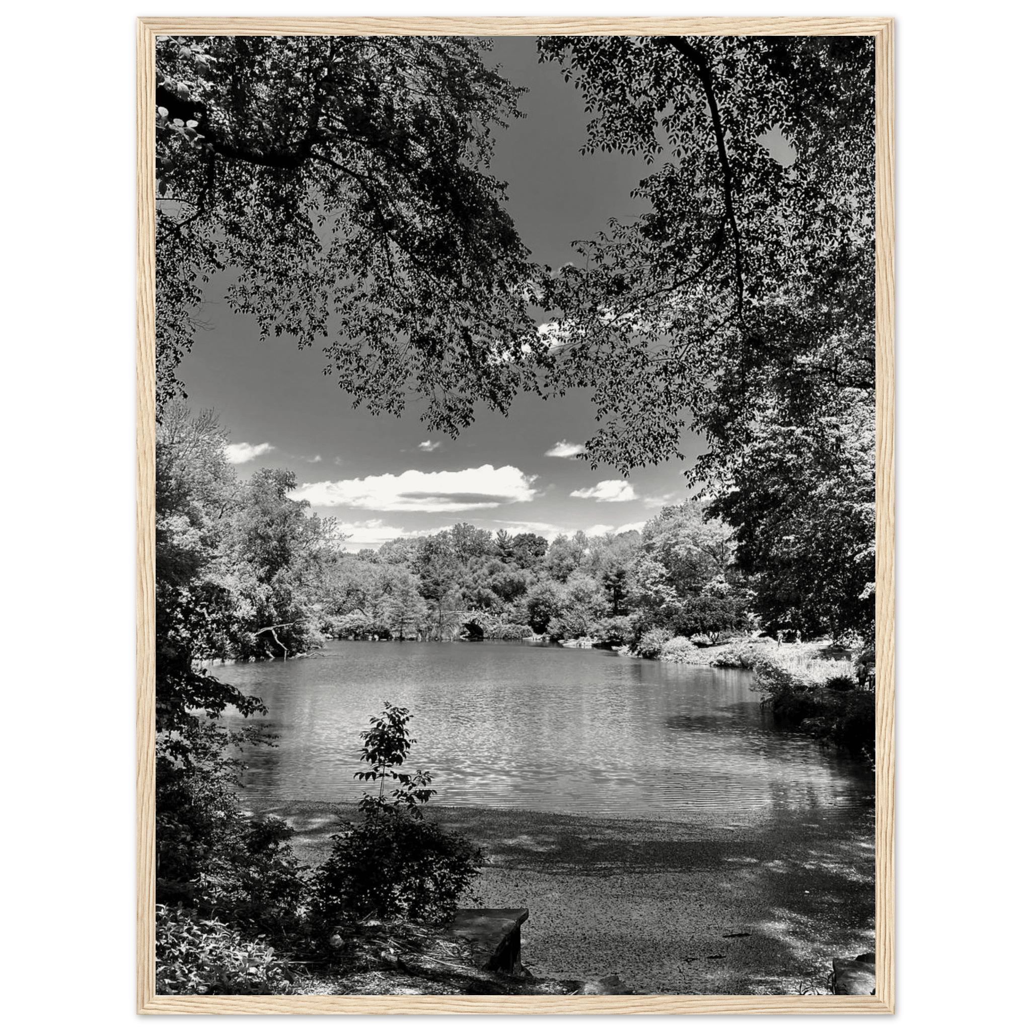 Framed wooden poster of Central Park in summer glow, part of My Store's Travel Collection Studio Edition Black & White Series.