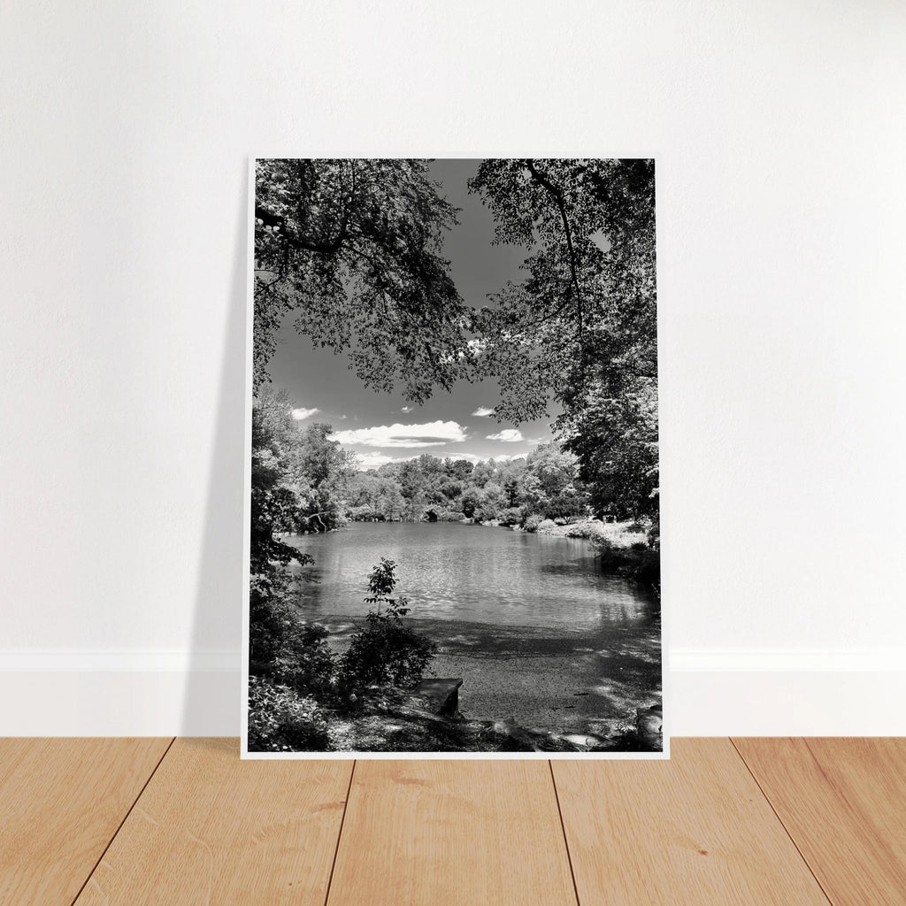 Framed wooden poster of Central Park in summer glow, part of My Store's travel collection, black and white studio edition print.