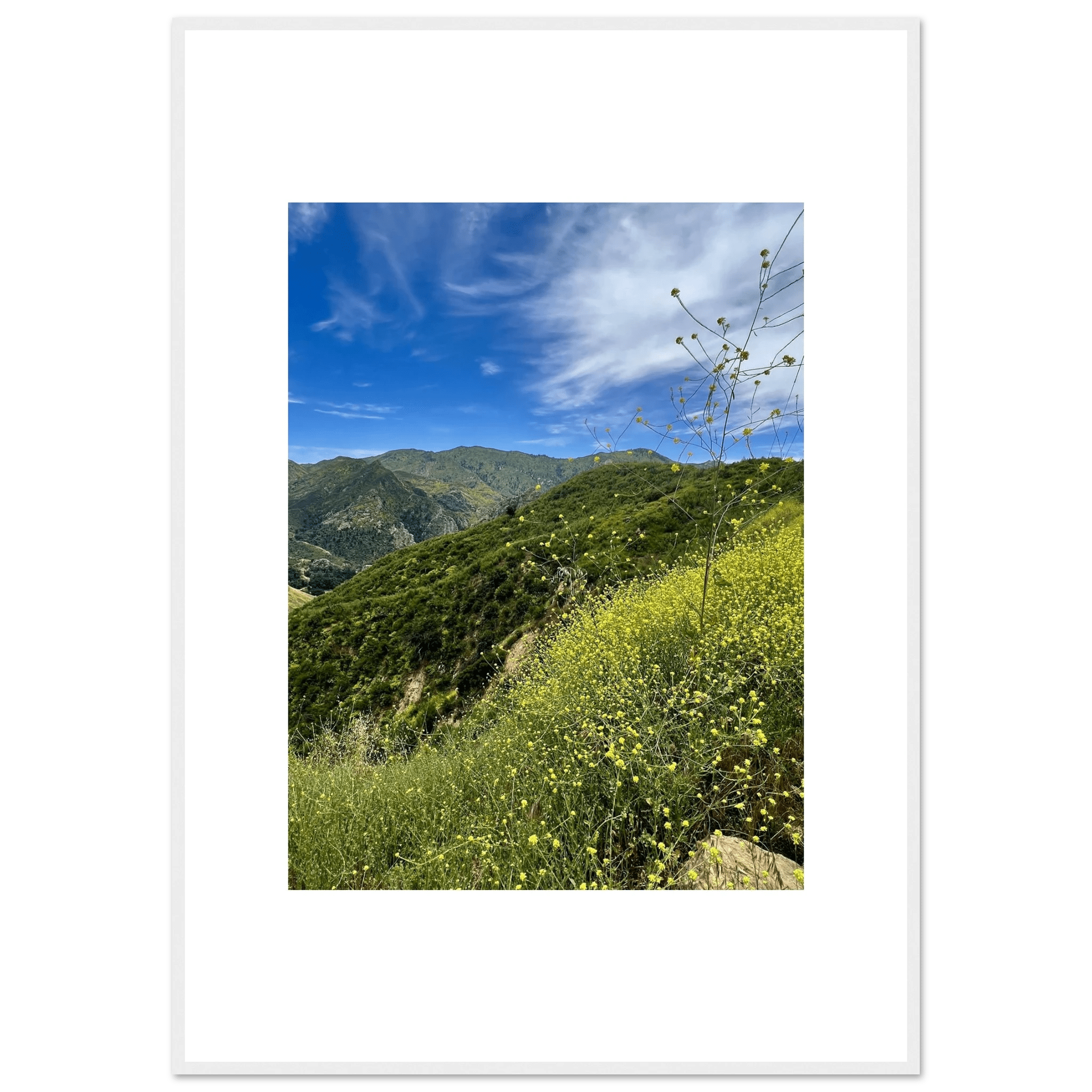 High-quality framed art print of Malibu Canyon in spring bloom wildflowers, showcasing vibrant California landscape artwork.
