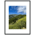 High-quality framed art print of Malibu Canyon in spring bloom wildflowers, California poster art, 15x20 cm print with white frame.
