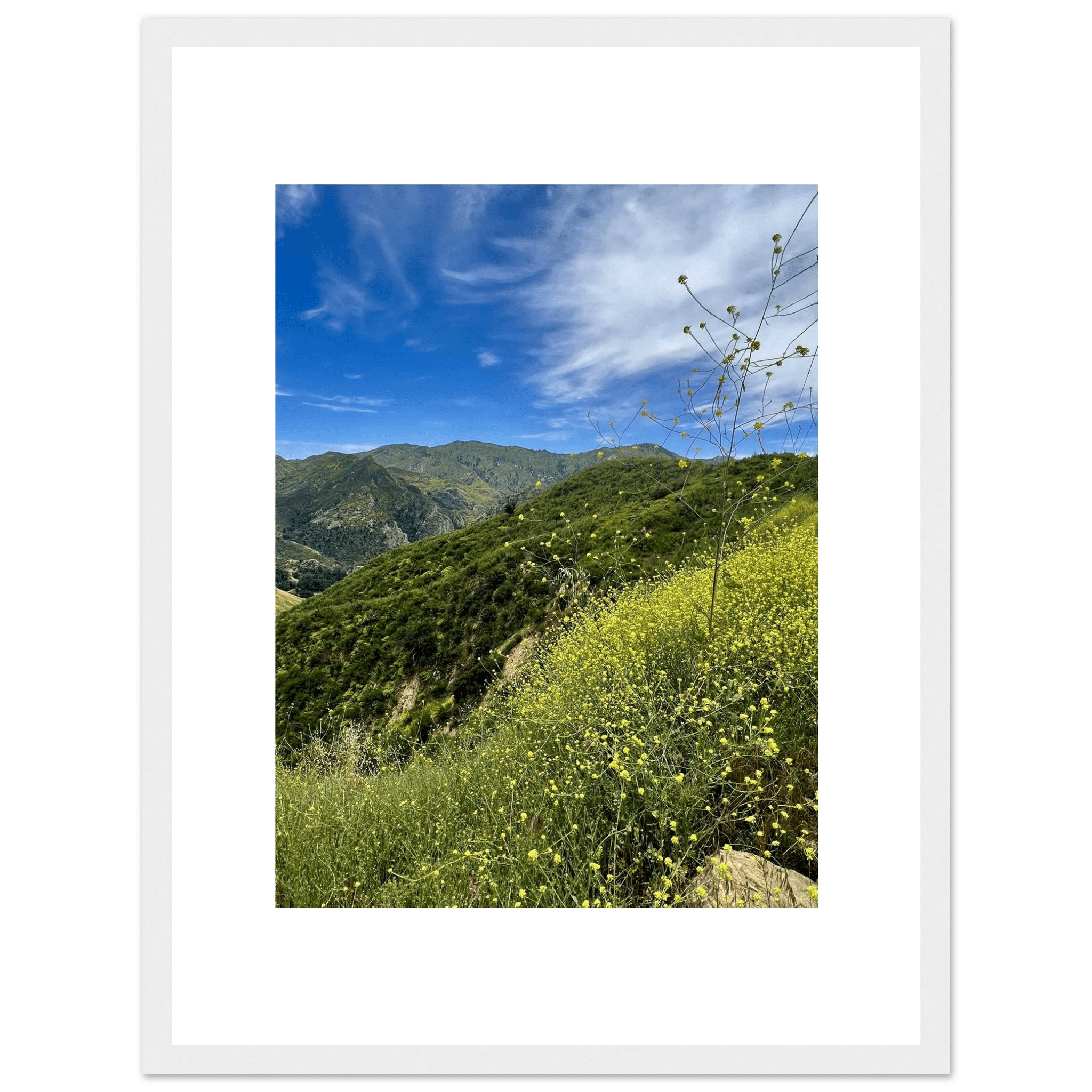 High-quality framed art print of Malibu Canyon in spring bloom wildflowers, featuring California poster art by My Store.