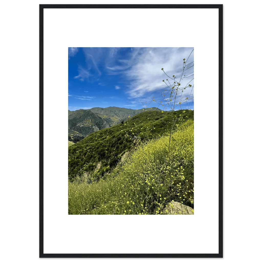 High-quality framed art print of Malibu Canyon in spring bloom wildflowers, featuring vibrant California poster art by My Store.