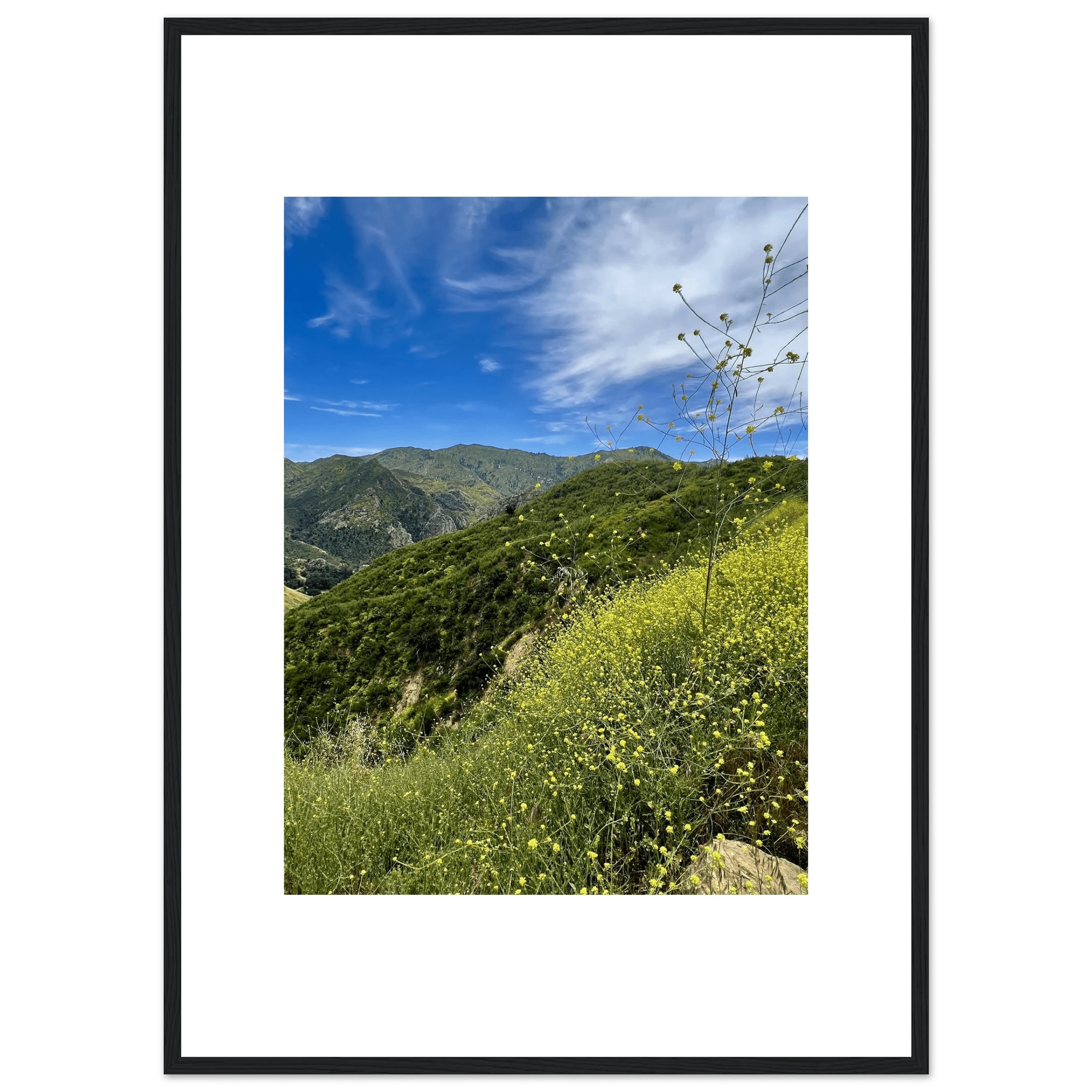 High-quality framed art print of Malibu Canyon in spring bloom wildflowers, featuring vibrant California natural scenery.